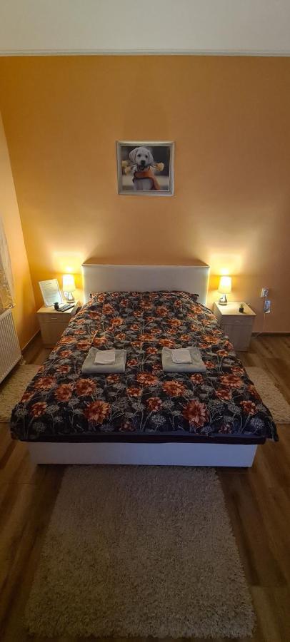 Ales Apartman Σόμπορ Εξωτερικό φωτογραφία